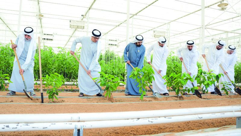 الامارات | قيادة الإمارات ترسخ الزراعة ركيزة تنموية مســـتقبلية وإرثاً خالداً