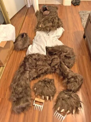 الامارات | خدعة جديدة للاحتيال على شركات التأمين.. بارتداء زي دبّ