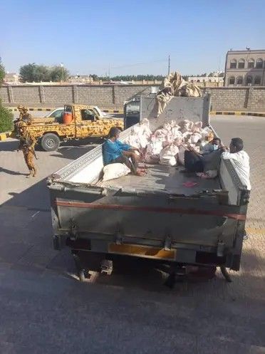 الخليج اليوم .. إتلاف 1.5 طن حشيش في مأرب قبل تسليمها للحوثيين