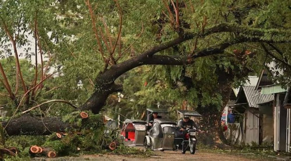 إعصار "مان يي" بالفلبين.. نزوح أعداد كبيرة والبحث عن مفقودين