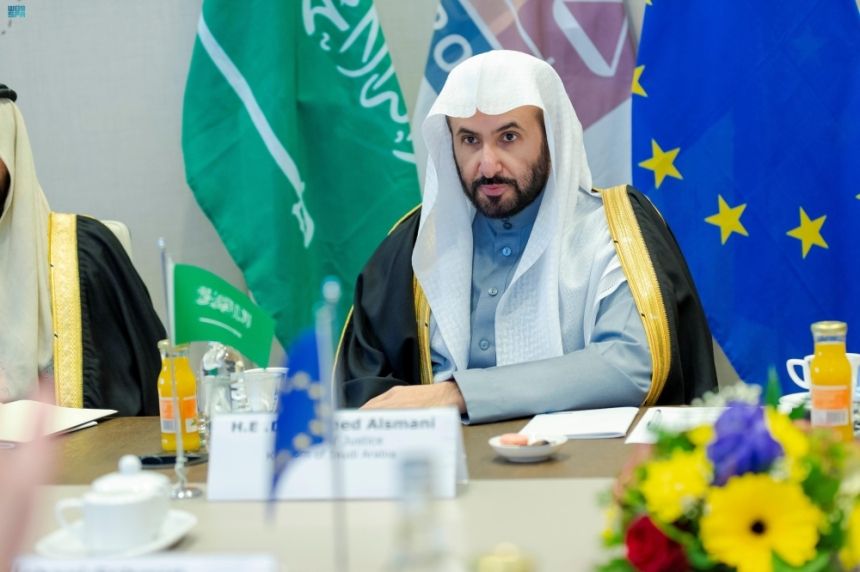 لاهاي.. وزير العدل يبحث تعزيز التعاون مع رئيس "اليوروجست"