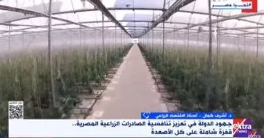 أستاذ اقتصاد زراعى: الصادرات الزراعية المصرية تعيش قصة نجاح كبيرة