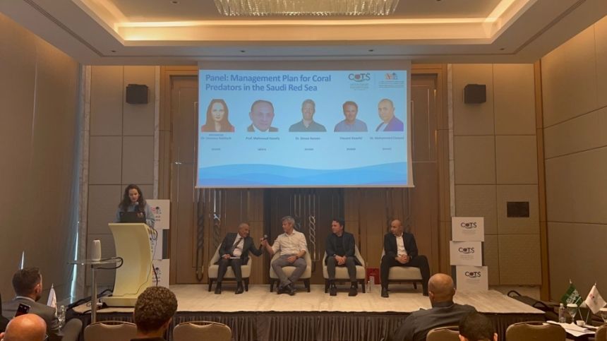 "اليوم" ترصد مخاطر نجم البحر الشوكي على الشعب المرجانية 