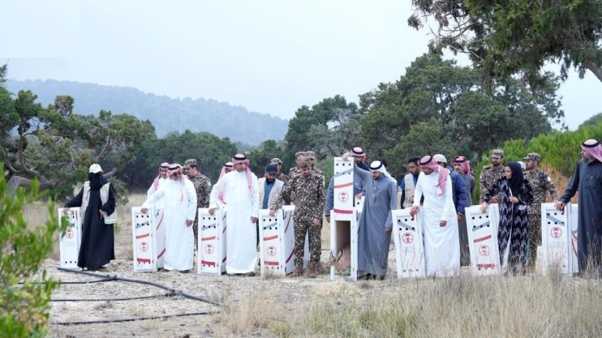 متنزه السودة.. "الحياة الفطرية" تطلق 26 كائنًا مهددًا بالانقراض