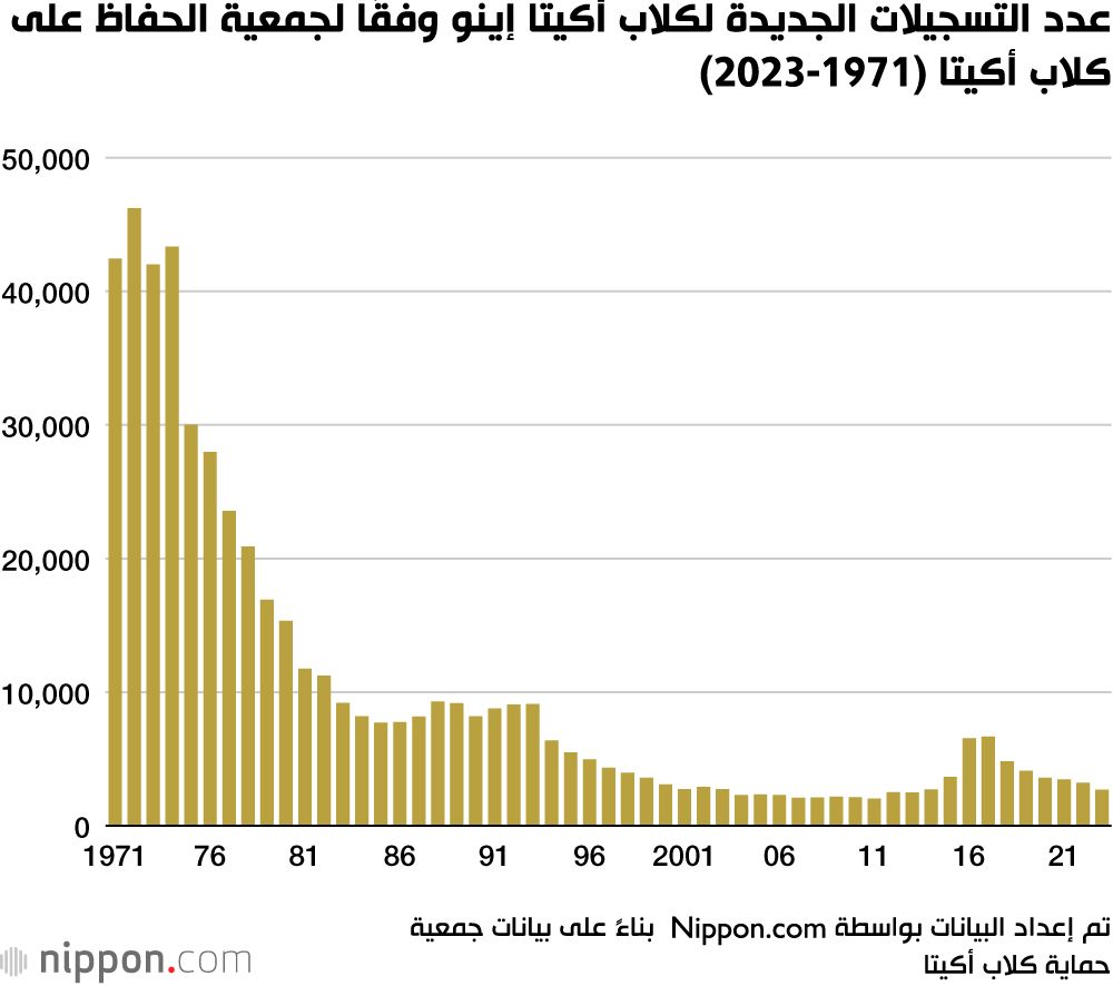 اليابان | كلاب أكيتا في تراجع مستمر... هل يفقد اليابانيون رمزًا من تراثهم؟