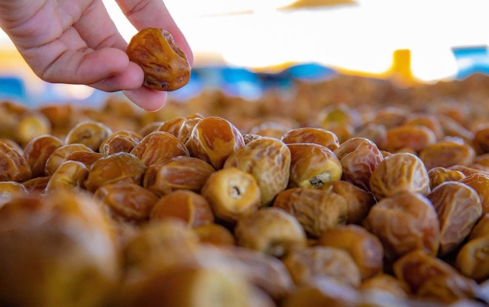 لتعزيز الصادرات الدولية.. إطلاق الجناح الرقمي للتمور السعودية على منصة "علي بابا"