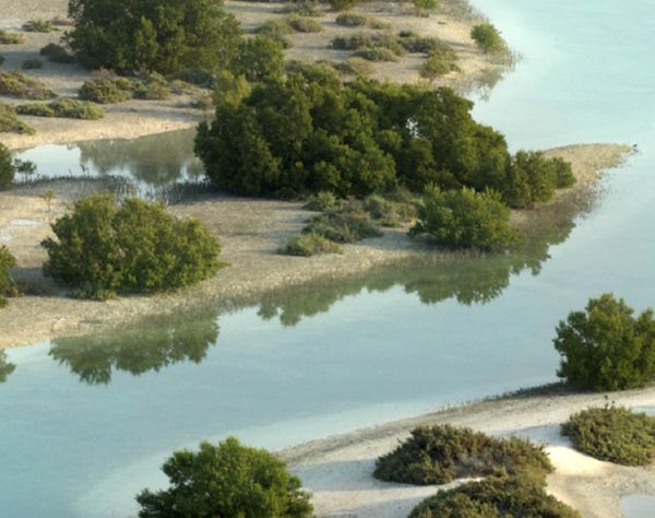 أبوظبي أول مدينة في المنطقة تطبق «إطار الشفافية المعزز»