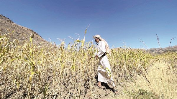 الأغذية العالمي يطلب 1.5 مليار دولار  لتمويل أنشطته باليمن