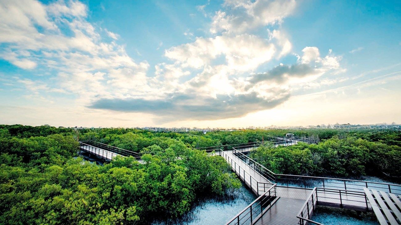 أبوظبي: خفض 26 مليون طن من مكافئ ثاني أكسيد الكربون