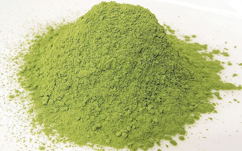 الامارات | 3 فوائد مذهلة لشرب شاي الماتشا- وهؤلاء ممنوعون منه