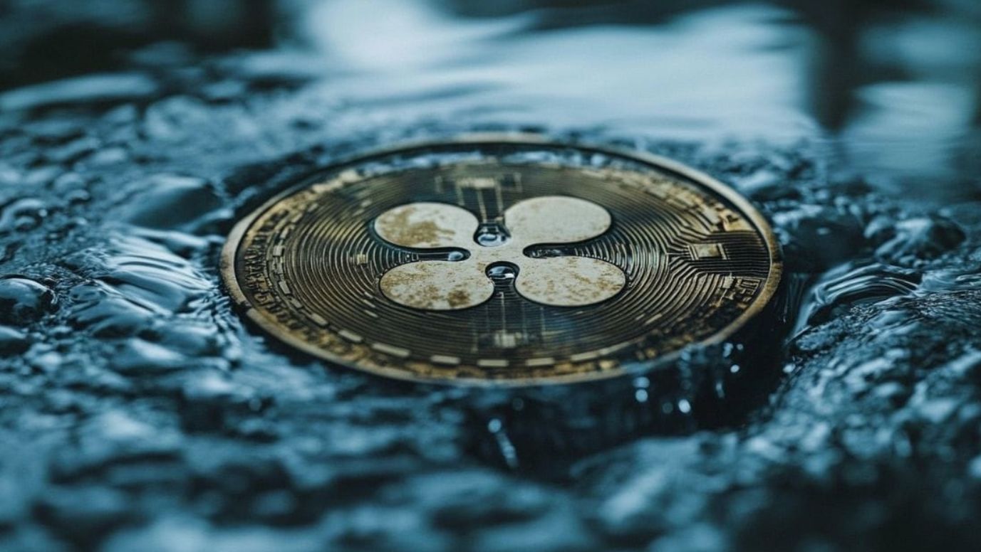 شركة “WisdomTree” تتقدم بطلب للحصول على صندوق تداول الريبل (XRP) في ولاية “ديلاوير”