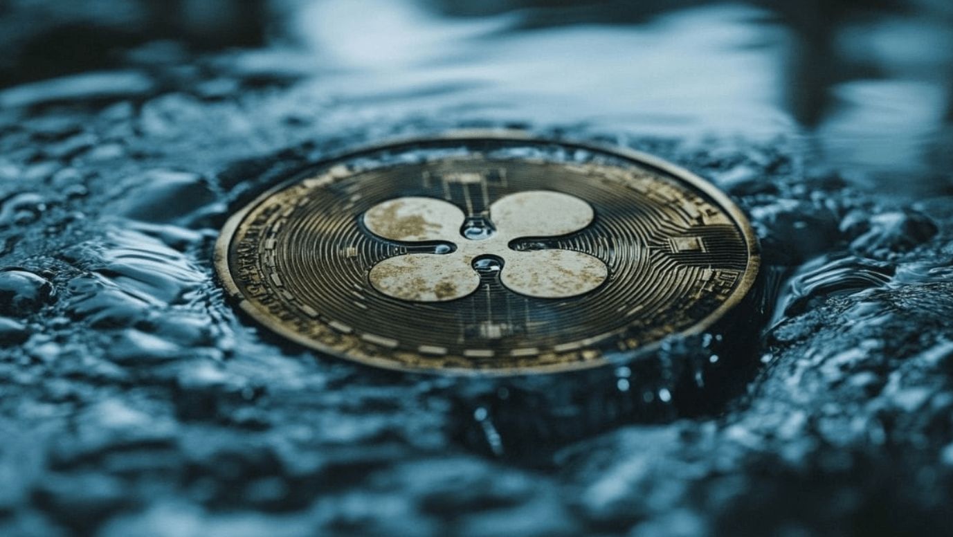 شركة “WisdomTree” تتقدم بطلب للحصول على صندوق تداول الريبل (XRP) في ولاية “ديلاوير”