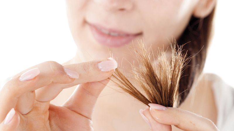 الامارات | أفضل 9 زيوت لشعر صحي وجيد المظهر