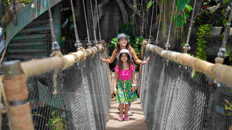 الامارات | الوجهات الترفيهية في دبي تحتفل بعيد الاتحاد الـ 53