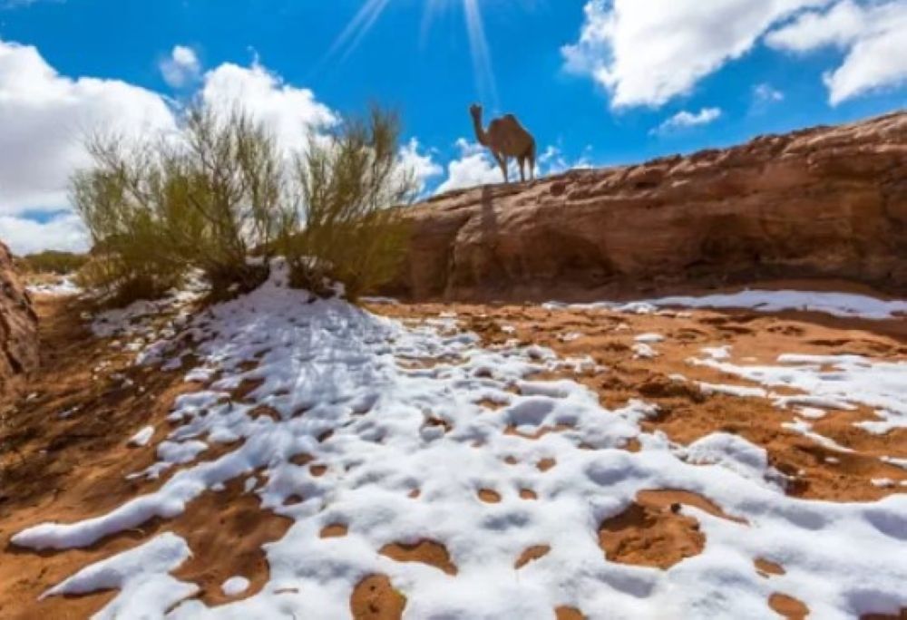 3 أيام تفصل المملكة عن دخول الشتاء.. وانخفاض حاد في درجات الحرارة