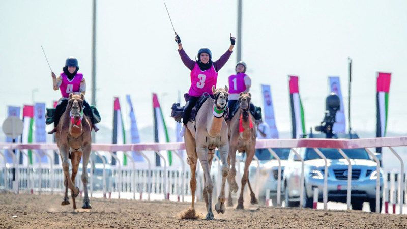 الامارات | رحلة الهجن ضمن جائزة زايد الكبرى.. الصدارة إماراتية