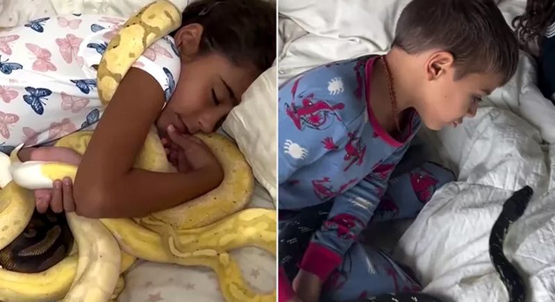 الامارات | يحتفظ بـ200 ثعبان في منزله!