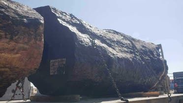 الخليج اليوم .. مخبأة بـ"جذوع الأشجار".. بالصور ضبط 200 كلغ مخدرات باليمن