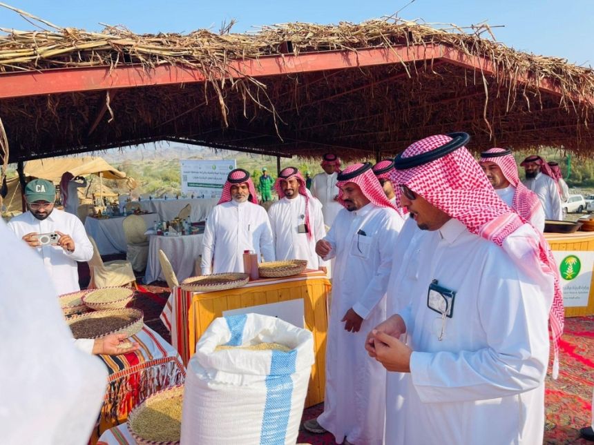 القنفذة.. اهتمام بتنمية محصول السمسم لتعزيز دخل المزارعين