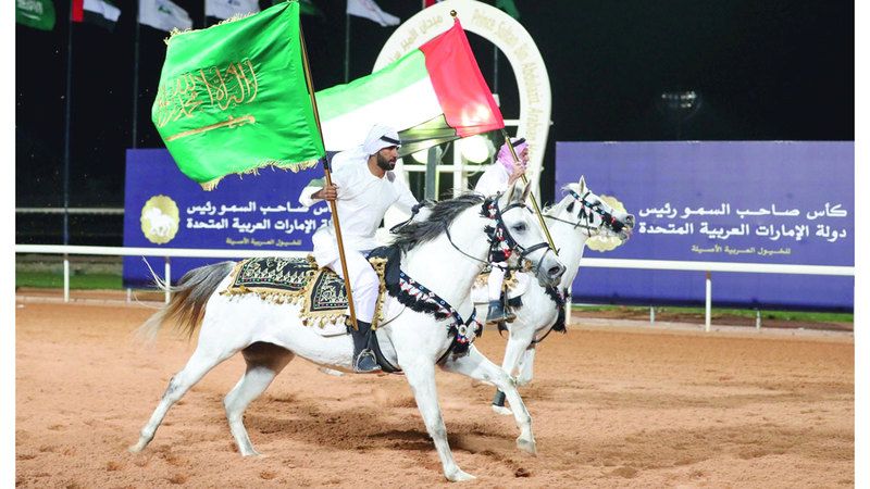 الامارات | السعودية تحتضن كأس رئيس الدولة للخيول العربية