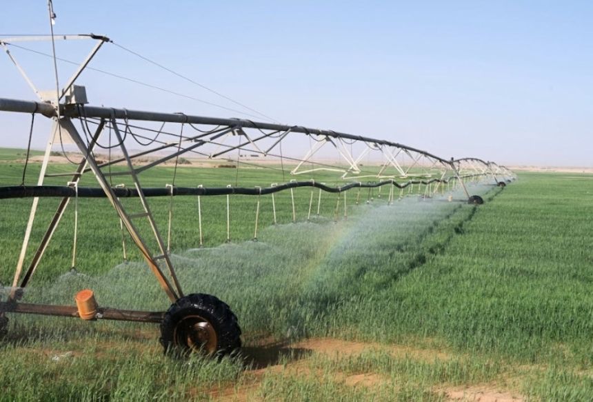 تصنفيها لـ3 فئات.. حظر استخدام مياه الصرف المعالجة في ري النباتات