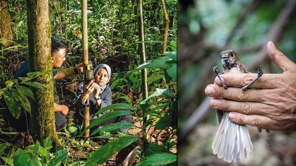 «صندوق محمد بن زايد للمحافظة على الكائنات الحية» يقدم منحاً لـ 93 مشروعاً