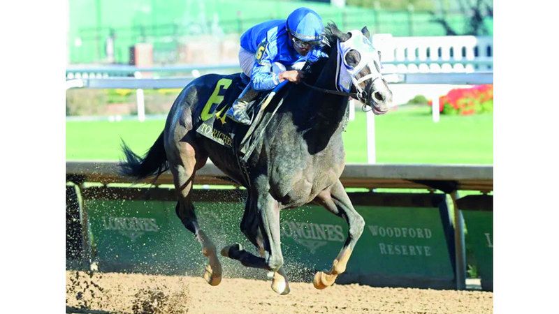 الامارات | المهرة «غود تشير» تطلب لقب «غولدن رود» في أميركا