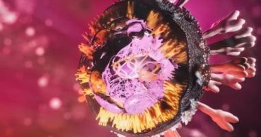 مخاوف عالمية من تفشى فيروس "العين النازفة".. اعرف ما هو وأعراضه؟