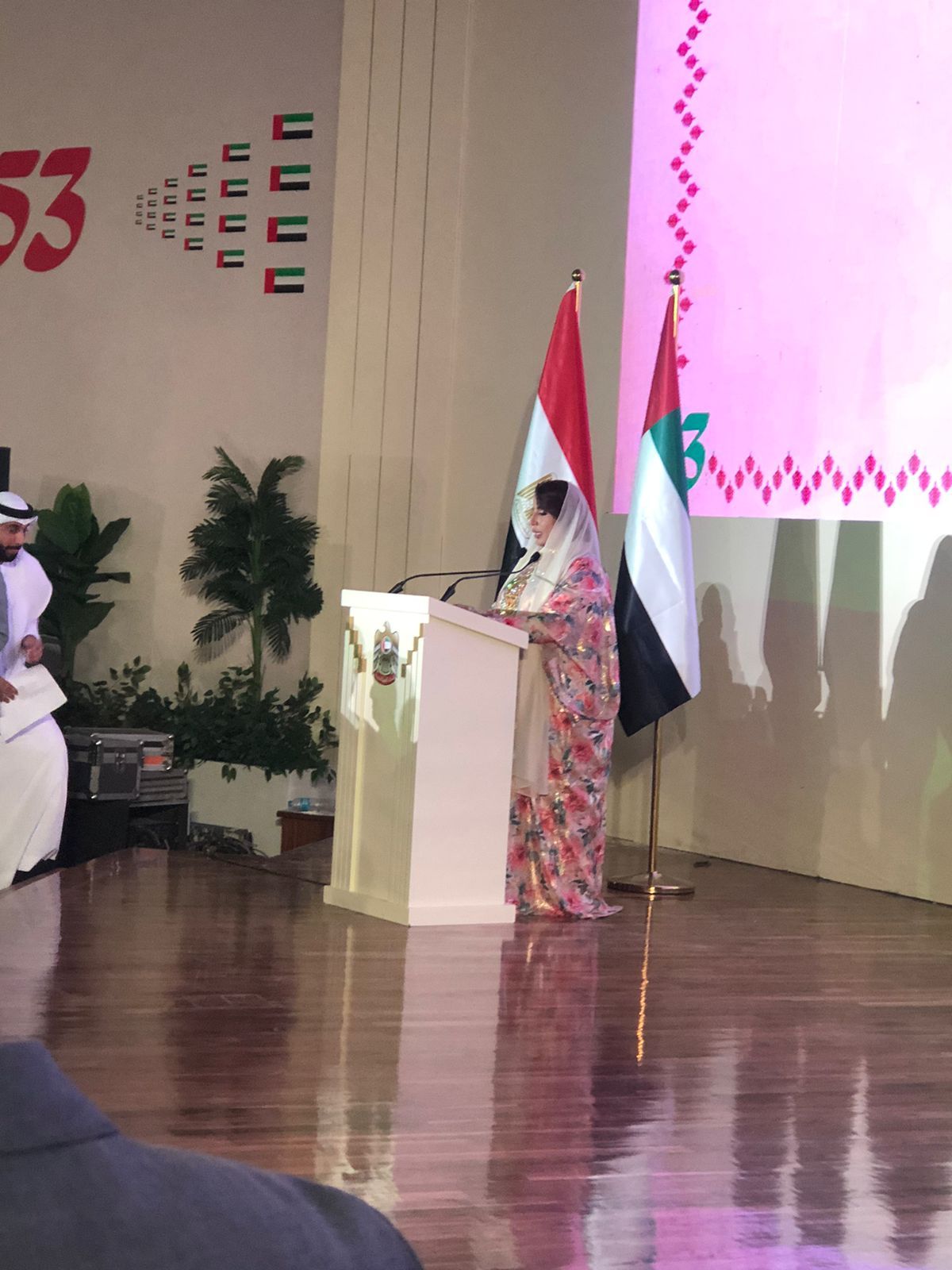 سفيرة الإمارات: تربطنا علاقات خاصة مع مصر.. ورأس الحكمة نموذج لقوتها