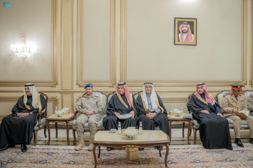 وزير الدفاع يستعرض الأوضاع الإقليمية والدولية مع نظيرته الجنوب أفريقية