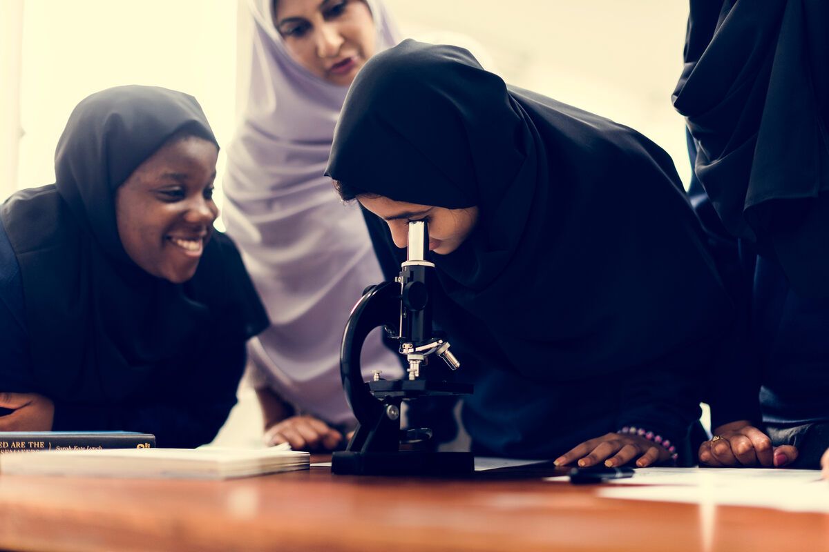 الامارات | "التعليم العالي" تحدد معايير استرشادية للقبول في برامج الجامعات