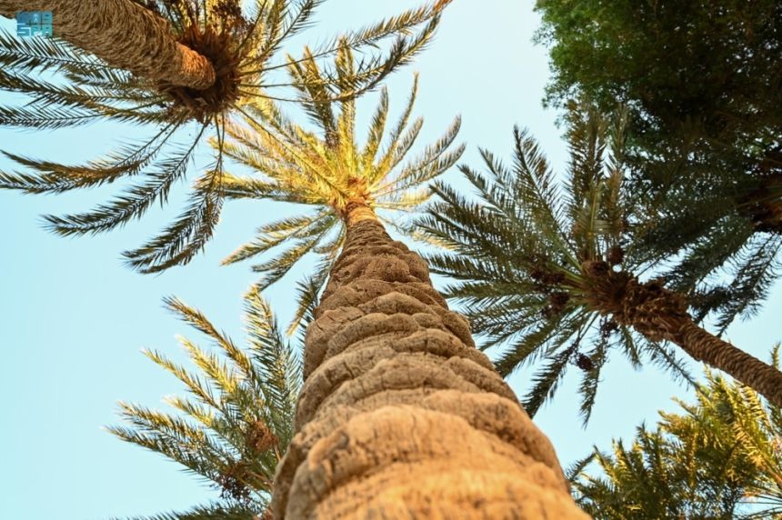 تأهيل 13 ألف مواطن للمهن الزراعية والحيوانية وصيد الأسماك وتربية النحل