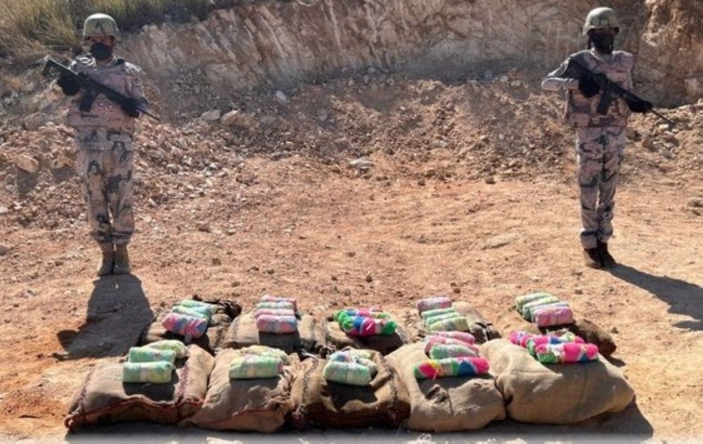 إحباط تهريب 140 كجم من "القات المخدر" في جازان