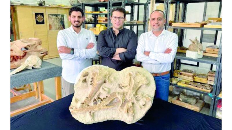 الامارات | مركز مصري يدخل غينيس بأصغر حفرية حوت