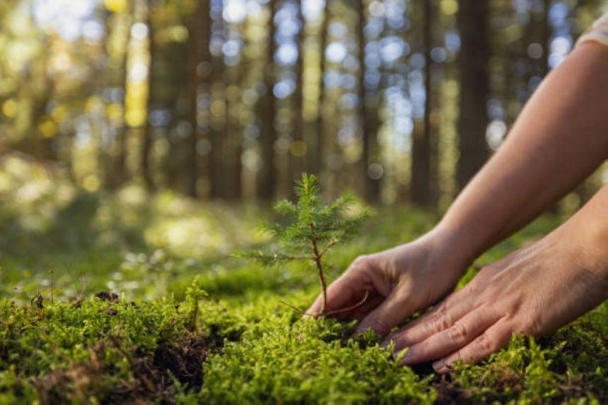 الفضلي: إطلاق إستراتيجية شاملة للعمل التطوعي لحماية البيئة