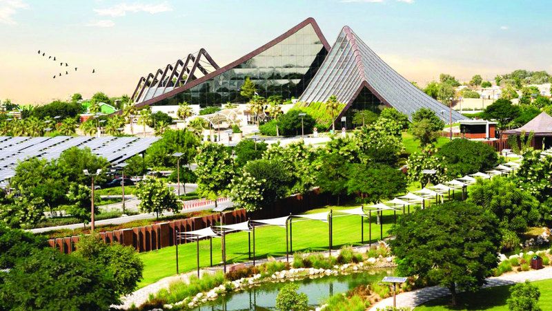 الامارات | «دبي سفاري بارك» تُطلق  جولات السفاري الليلية