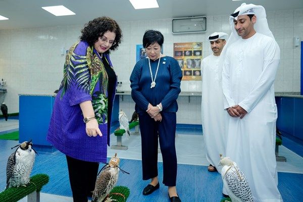 حاكمة طوكيو تزور مستشفى أبوظبي للصقور ومتنزه قرم الجبيل