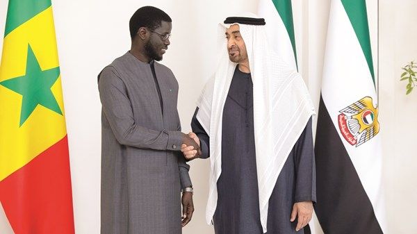 رئيس الدولة: تعزيز التعاون التنموي مع أفريقيا أولوية إماراتية