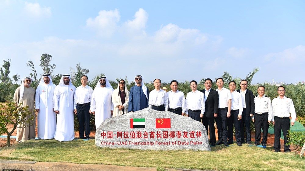 تسليم الدفعة الثانية من هدية رئيس الدولة للصين المكونة من 100 ألف شتلة نخيل