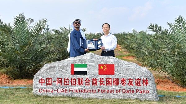 تسليم الدفعة الثانية من هدية رئيس الدولة للصين المكونة من 100 ألف شتلة نخيل