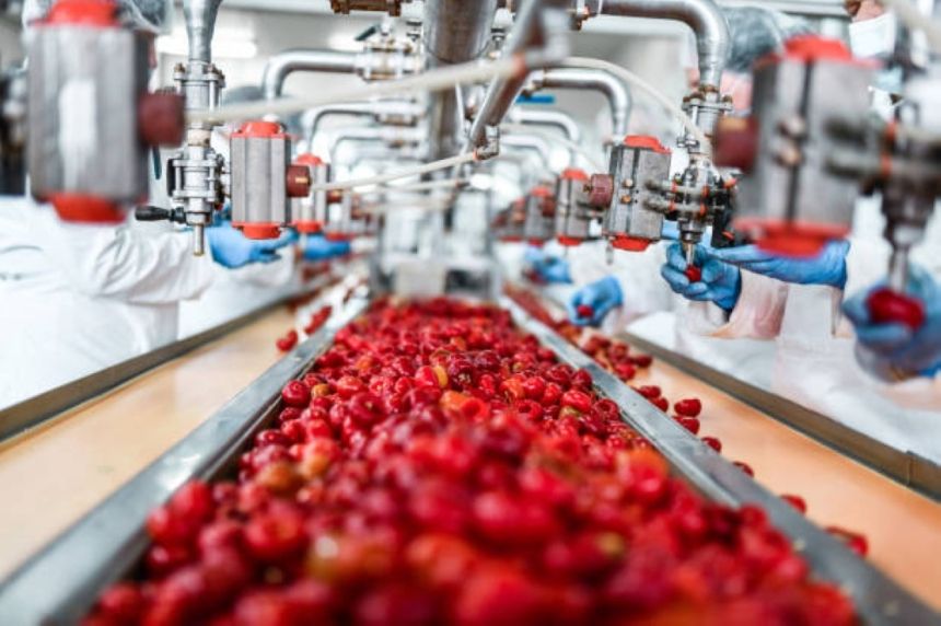 فحص دوري وحظر الحلي.. اشتراطات صحية جديدة لعاملي المنشآت الغذائية