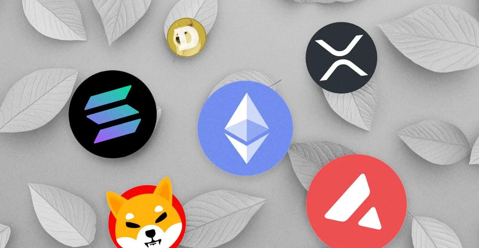 علامات تشير إلى أن موسم العملات الرقمية البديلة قد بدأ!