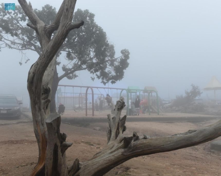 حتى 8 صباحًا.. ضباب خفيف إلى متوسط على أجزاء من 7 مناطق