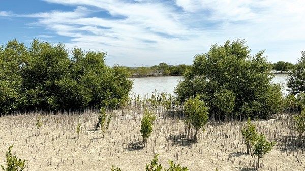 «بيئة أبوظبي» تتوقع مؤشرات جودة الهواء والمياه لخمس سنوات مقبلة