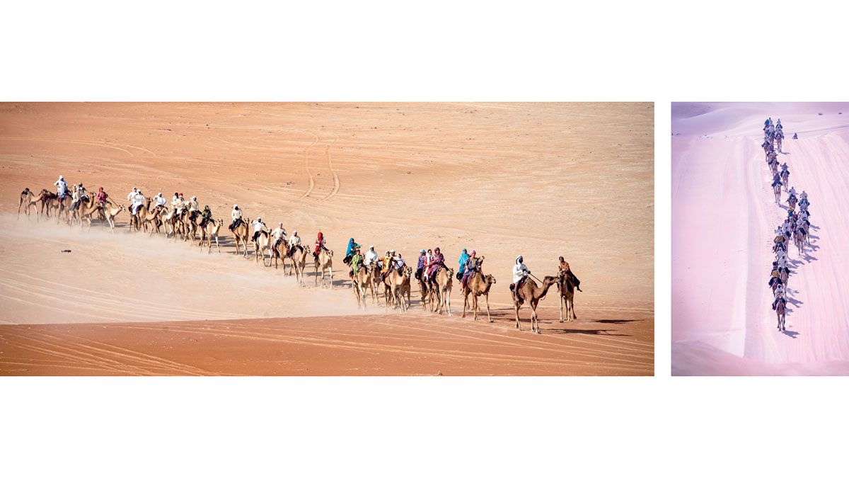 الامارات | «على خطى أهلنا الأولين»..  رحلة الهجن تبدأ المسيرة الـ 11