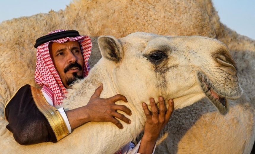 "ألوان الإبل".. البشوت والمشالح تعكس أصالة المجتمع السعودي
