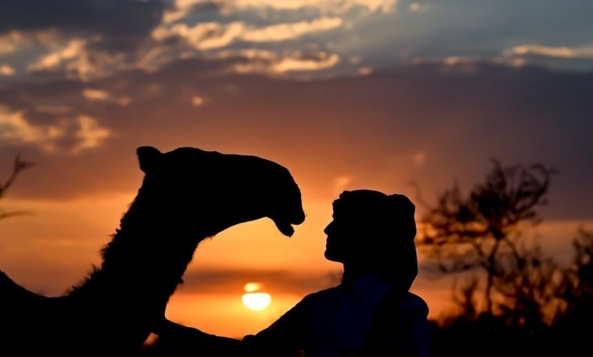 "ألوان الإبل".. البشوت والمشالح تعكس أصالة المجتمع السعودي