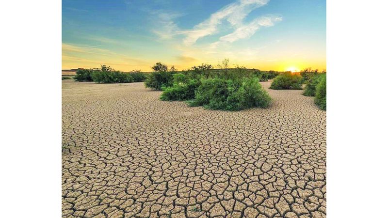 الامارات | %77 من أراضي العالم باتت أكثر جفافاً