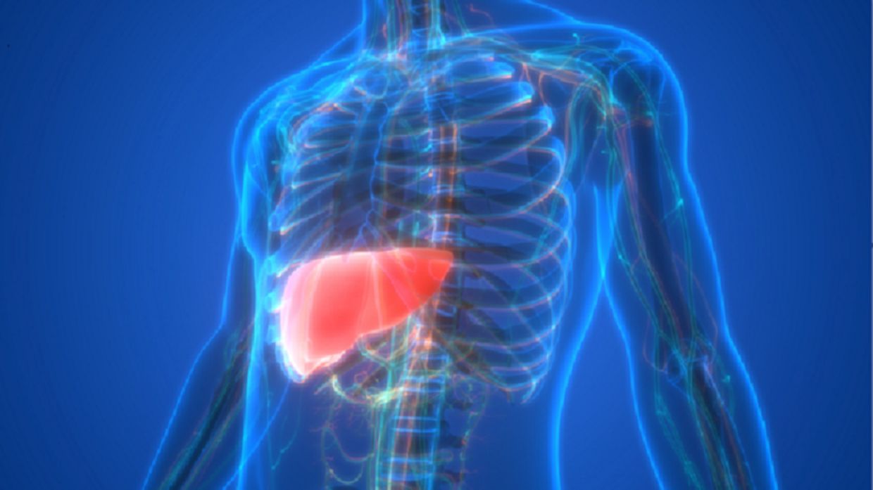 الامارات | الأطعمة الأكثر ضرراً للكبد