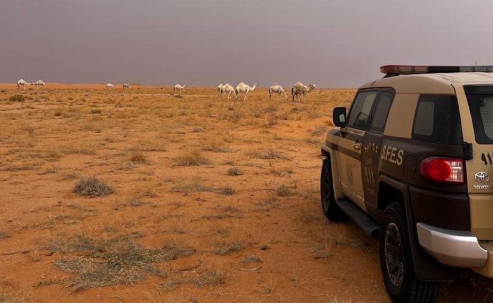 ضبط مخالفين لنظام البيئة في الرياض والمدينة المنورة